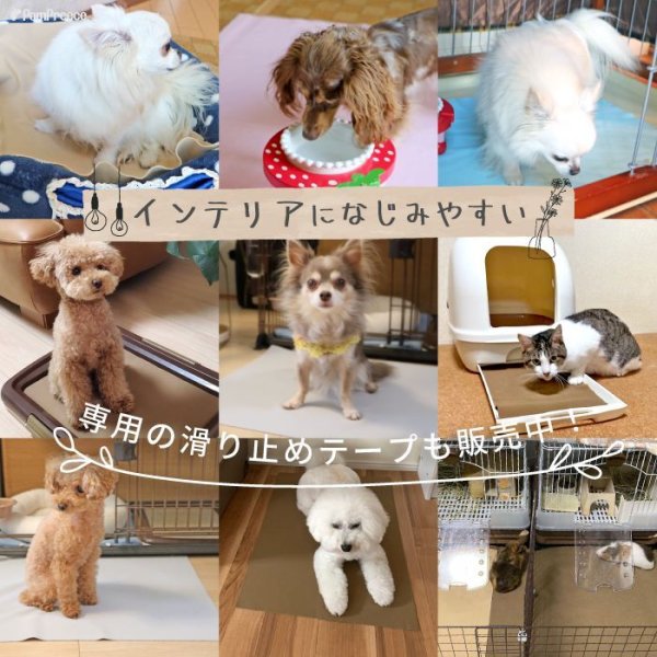画像13: 【ポイント10倍で会員様はお得】   裏面滑り止め加工付き 制菌ペットシーツ プレミアII【L】洗えるペットシーツ 吸収力抜群 強力滑り止め加工付き (13)
