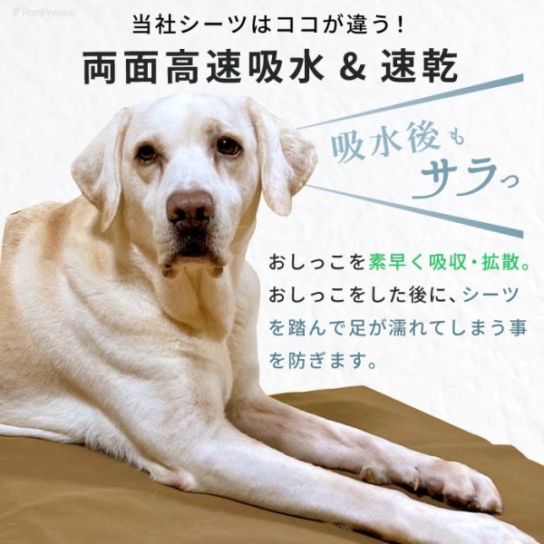 画像4: 【ポイント10倍で会員様はお得】   裏面滑り止め加工付き 制菌ペットシーツ プレミアII【L】洗えるペットシーツ 吸収力抜群 強力滑り止め加工付き (4)