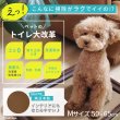 画像3: 【ポイント10倍で会員様はお得】洗って使える裏面スベリ止め加工付きペットシーツ 2カラーから選べる3枚Mサイズセット (3)