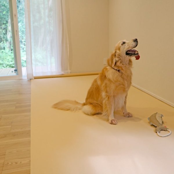 画像6: 【ポイント10倍で会員様はお得】オーダーメイド【10ｍ】 制菌ペットシーツプレミア2 NEW 吸収力抜群 介護シーツ 使い方自由自在 ［日本製］ペット用品専門メーカーポンポリースオリジナル商品※返品交換不可 (6)