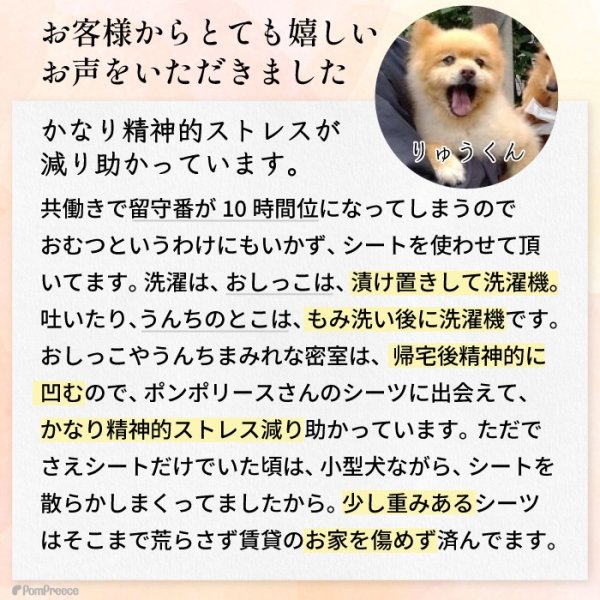 画像2: 【ポイント10倍で会員様はお得】オーダーメイド【10ｍ】 制菌ペットシーツプレミア2 NEW 吸収力抜群 介護シーツ 使い方自由自在 ［日本製］ペット用品専門メーカーポンポリースオリジナル商品※返品交換不可 (2)