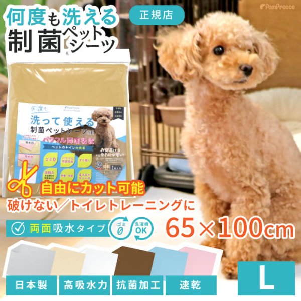 画像2: 【ポイント10倍で会員様はお得】7カラーから選べる3枚Lサイズセット  洗って使えるペットシーツ【700円OFFクーポンあり】【クーポンコード：3l700】 (2)