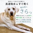 画像8: 【700円OFFクーポンあり】7カラーから選べる3枚Lサイズセット  洗って使えるペットシーツ【クーポンコード：3l700】 (8)