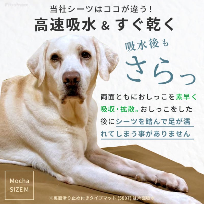 画像8: 【ポイント10倍で会員様はお得】7カラーから選べる3枚Lサイズセット  洗って使えるペットシーツ【700円OFFクーポンあり】【クーポンコード：3l700】 (8)