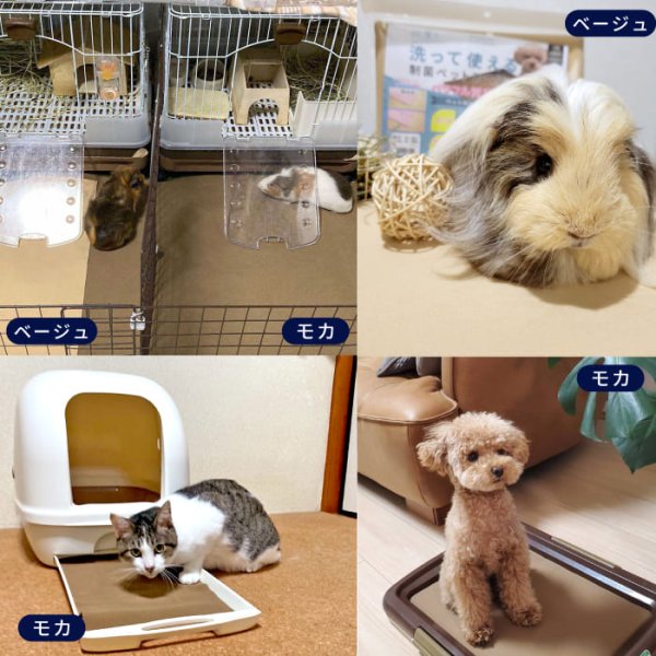 画像20: 【「50名様限定」クーポン付き秋冬カタログ配布対象商品】7カラーから選べる3枚Mサイズセット  洗って使えるペットシーツ【500円OFFクーポンあり】【クーポンコード:3m500】 (20)