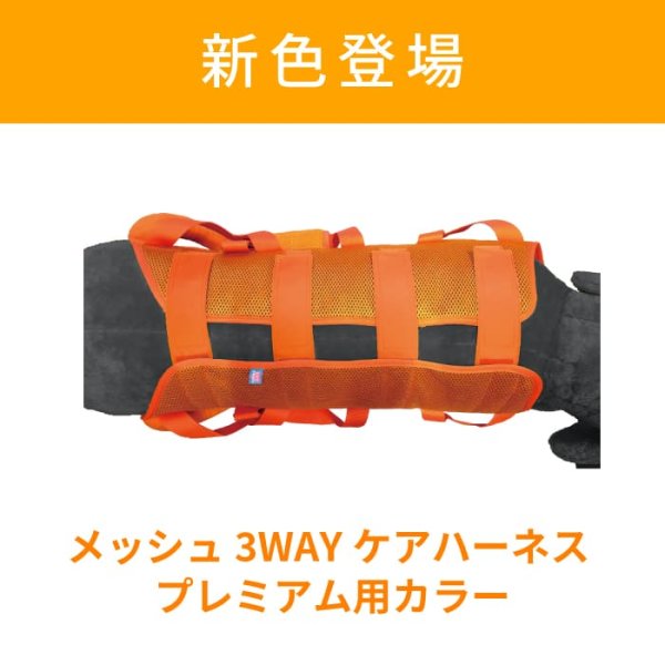 画像2: 【ポイント10倍で会員様はお得】 中大型犬用 3WAYケアーハーネス対応 延長ベルト(4本セット)【3L・4L】 (2)