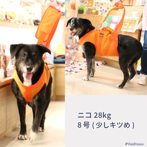 画像22: 【ポイント10倍で超お得!!会員様限定】中型犬 大型犬用 介護 ハーネス 安定した姿勢でサポート 歩行補助 排泄介助 メッシュオールケアハーネス【6〜10号】 (22)