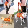 画像24: 【ポイント10倍で超お得!!会員様限定】中型犬 大型犬用 介護 ハーネス 安定した姿勢でサポート 歩行補助 排泄介助 メッシュオールケアハーネス【6〜10号】 (24)