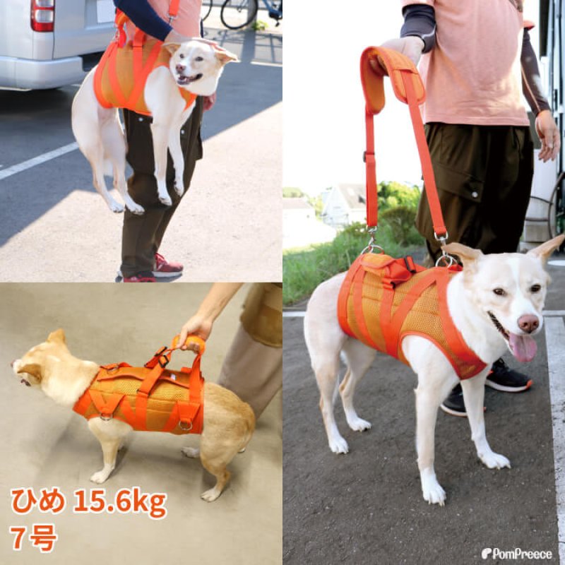 画像24: 中型・大型犬用 介護 ハーネス メッシュオールケアハーネス 【6〜10号】 安定した姿勢でサポート 歩行補助 排泄介助 (24)