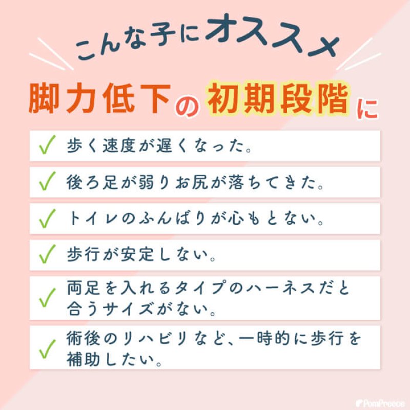 画像6: 中型・大型犬用 介護 ハーネス メッシュオールケアハーネス 【6〜10号】 安定した姿勢でサポート 歩行補助 排泄介助 (6)
