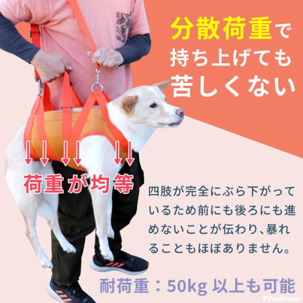 画像9: 【ポイント10倍で超お得!!会員様限定】中型犬 大型犬用 介護 ハーネス 安定した姿勢でサポート 歩行補助 排泄介助 メッシュオールケアハーネス【6〜10号】 (9)