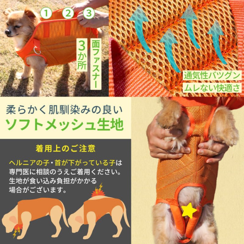 画像12: 小型・中型犬用 メッシュ3WAYケアハーネス プレミアム 【2〜6号】 歩行補助 排泄介助 通院 緊急災害時の移動に (12)