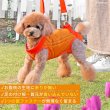 画像18: 【ポイント10倍で超お得!!会員様限定】小型・中型犬用メッシュ3WAYケアハーネス プレミアム【2〜6号】歩行補助 排泄介助 通院 緊急災害時の移動に (18)