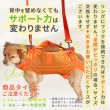 画像19: 【ポイント10倍で超お得!!会員様限定】小型・中型犬用メッシュ3WAYケアハーネス プレミアム【2〜6号】歩行補助 排泄介助 通院 緊急災害時の移動に (19)