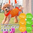 画像3: 【ポイント10倍で超お得!!会員様限定】小型・中型犬用メッシュ3WAYケアハーネス プレミアム【2〜6号】歩行補助 排泄介助 通院 緊急災害時の移動に (3)