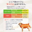 画像5: 【ポイント10倍で超お得!!会員様限定】小型・中型犬用メッシュ3WAYケアハーネス プレミアム【2〜6号】歩行補助 排泄介助 通院 緊急災害時の移動に (5)