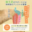 画像6: 【ポイント10倍で超お得!!会員様限定】小型・中型犬用メッシュ3WAYケアハーネス プレミアム【2〜6号】歩行補助 排泄介助 通院 緊急災害時の移動に (6)
