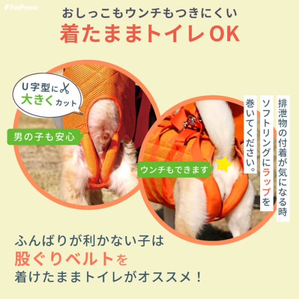 画像11: 【ポイント10倍で超お得!!会員様限定】中大型犬用メッシュ3WAYケアハーネス プレミアム【7〜10号】歩行補助 排泄介助 通院 緊急災害時の移動に (11)