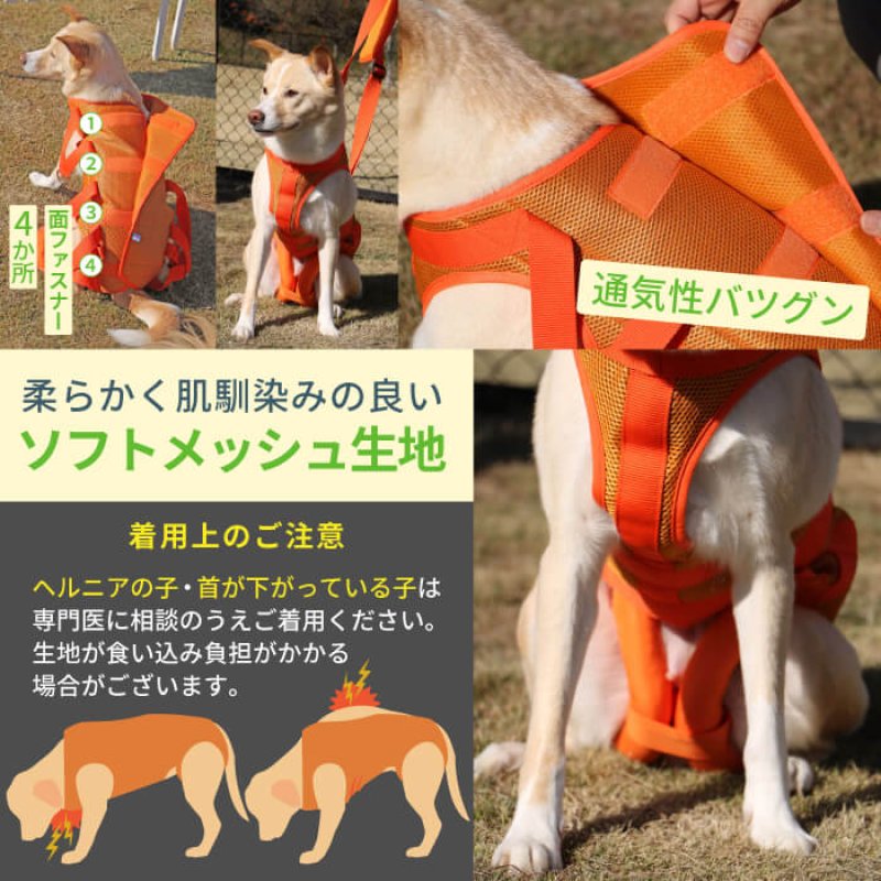 画像12: 中型・大型犬用 メッシュ3WAYケアハーネス プレミアム 【7〜10号】 歩行補助 排泄介助 通院 緊急災害時の移動に (12)