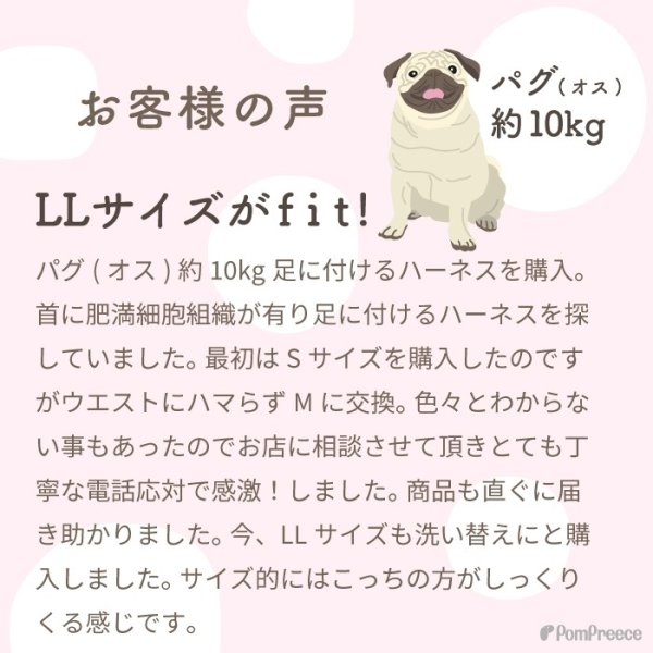 画像9: 【在庫処分セール品】介護用ハーネス サポートドーナツリング プチドット 【3L】グリーンのみ※返品交換不可 (9)