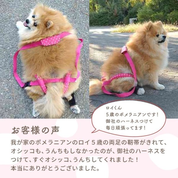 画像8: 【在庫処分セール品】介護用ハーネス サポートドーナツリング プチドット 【3L】グリーンのみ※返品交換不可 (8)