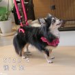 画像9: 【ポイント10倍で会員様はお得】  介護用ハーネス サポートドーナツリング プチドット 【S・M・L・LL・3L】 (9)