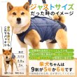 画像16: 【在庫処分セール品】小型犬用 3WAYケアハーネス キルトor メッシュ生地※オス・メス兼用 2〜6号※返品交換不可 (16)