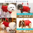 画像23: 【在庫処分セール品】小型犬用 3WAYケアハーネス キルトor メッシュ生地※オス・メス兼用 2〜6号※返品交換不可 (23)