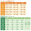 画像26: 【在庫処分セール品】小型犬用 3WAYケアハーネス キルトor メッシュ生地※オス・メス兼用 2〜6号※返品交換不可 (26)