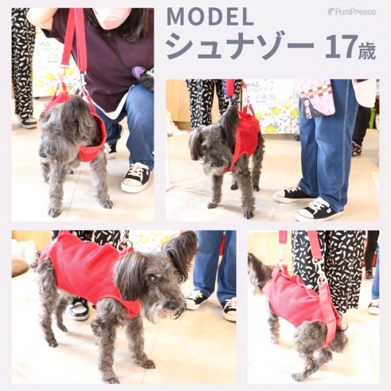 画像24: 【在庫処分セール品】小型犬用 3WAYケアハーネス キルトor メッシュ生地※オス・メス兼用 2〜6号※返品交換不可 (24)