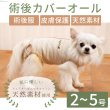 画像1: 【ポイント10倍で会員様はお得】 小型犬用 術後カバーオー オーガニックボーダー【2号・3号・4号・5号】 (1)