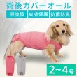 画像1: 【ポイント10倍で会員様はお得】 小型胴長犬用 ロングサイズ術後カバーオール 【2号・3号・4号】 (1)