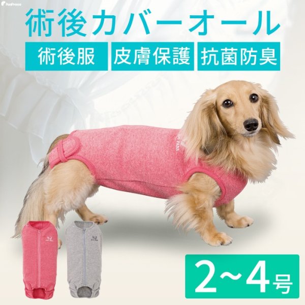 画像1: 【ポイント10倍で会員様はお得】 小型胴長犬用 ロングサイズ術後カバーオール 【2号・3号・4号】 (1)
