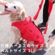 画像3: 【ポイント10倍で会員様はお得】 中大型犬用 3WAYケアーハーネス対応 延長ベルト（4本セット）【3L・4L】 (3)