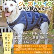 画像16: 【在庫処分セール品】大型犬用オス・メス兼用 メッシュor キルト生地 3WAYケアハーネス 【7〜10号】※返品交換不可 (16)