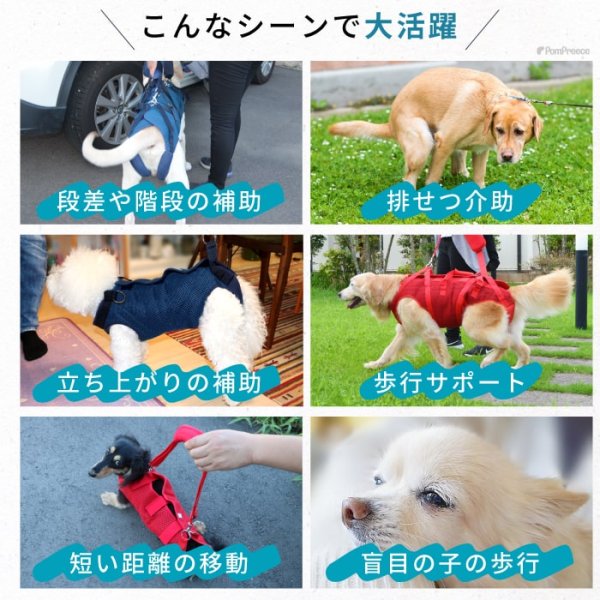 画像7: 【在庫処分セール品】大型犬用オス・メス兼用 メッシュor キルト生地 3WAYケアハーネス 【7〜10号】※返品交換不可 (7)