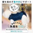 画像8: 【在庫処分セール品】大型犬用オス・メス兼用 メッシュor キルト生地 3WAYケアハーネス 【7〜10号】※返品交換不可 (8)