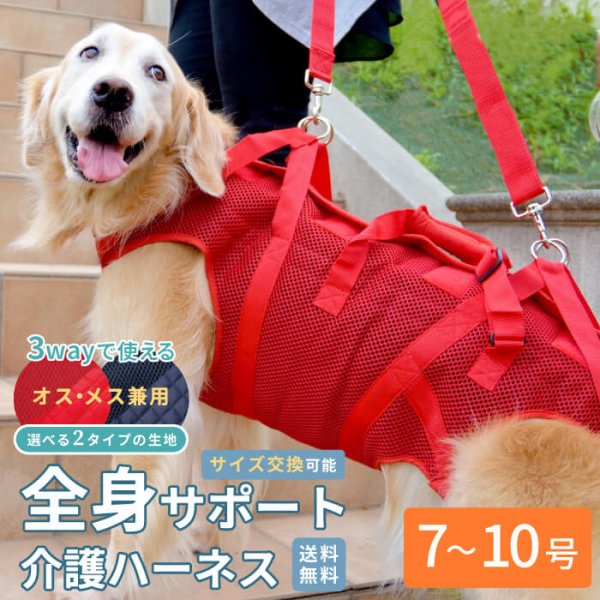 画像1: 【在庫処分セール品】大型犬用オス・メス兼用 メッシュor キルト生地 3WAYケアハーネス 【7〜10号】※返品交換不可 (1)