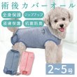 画像1: 【ポイント10倍で会員様はお得】 小型犬用 術後カバーオール 【2・3・4・5号】 (1)