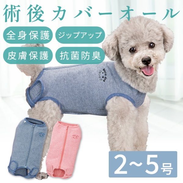 画像1: 【ポイント10倍で会員様はお得】 小型犬用 術後カバーオール 【2・3・4・5号】 (1)