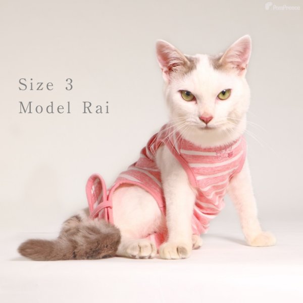 画像5: 【在庫処分セール品】猫用 術後カバーオー ネオボーダー【2・3号のみ】※返品交換不可 (5)