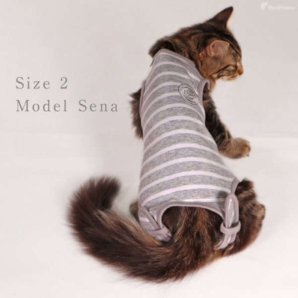 画像6: 【在庫処分セール品】猫用 術後カバーオー ネオボーダー【2・3号のみ】※返品交換不可 (6)