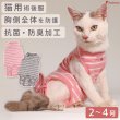画像1: 【在庫処分セール品】猫用 術後カバーオー ネオボーダー【2・3号のみ】※返品交換不可 (1)