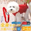 画像1: 【在庫処分セール品】小型犬用 3WAYケアハーネス キルトor メッシュ生地※オス・メス兼用 2〜6号※返品交換不可 (1)