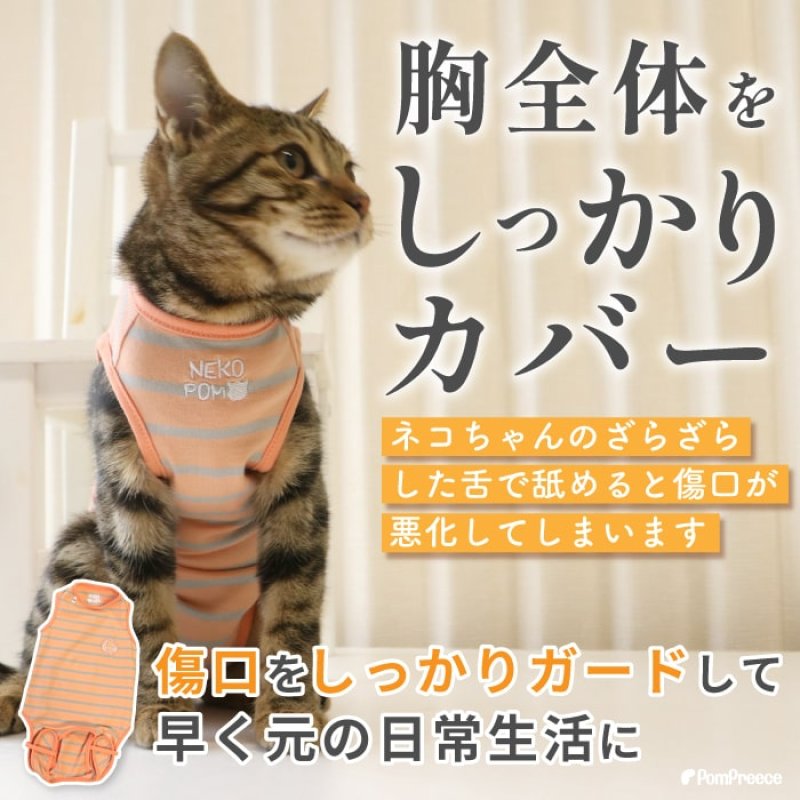 画像3: 【ポイント10倍で会員様はお得】術後カバーオー ネオボーダー 2〜4号 (3)