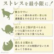 画像4: 【ポイント10倍で会員様はお得】術後カバーオー ネオボーダー 2〜4号 (4)
