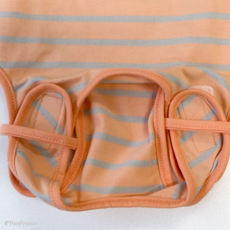 画像19: 【ポイント10倍で会員様はお得】術後カバーオー ネオボーダー 2〜4号 (19)