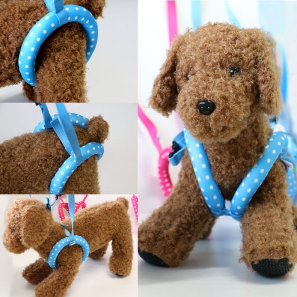 画像22: 【ポイント10倍で会員様はお得】  介護用ハーネス サポートドーナツリング プチドット 【S・M・L・LL・3L】 (22)