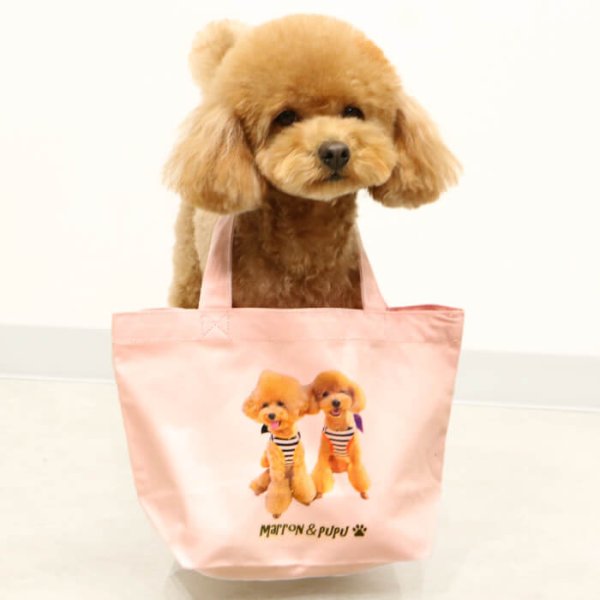 画像10: 【オーダーメイド受注生産】  うちの子画像入り トートバッグ  オーダーメイド ポンポリース【12月1日〜12月25日まで迷子札プレゼント中！】 (10)