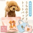 画像1: 【オーダーメイド受注生産】  オリジナルトートバッグ  オーダーメイド  (1)